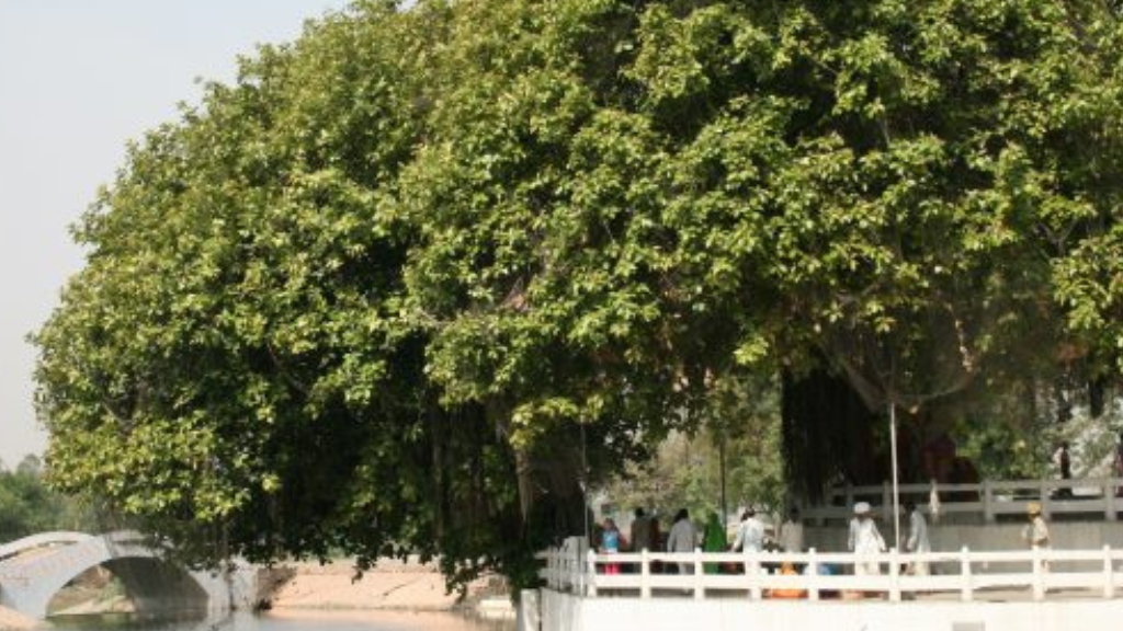 Tourists visiting the banyan tree at Jyotisar, a must-see among the best historical places in Kurukshetra.